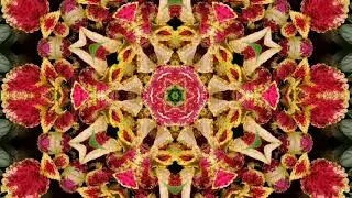 Rainbow Kaleidoscope Hallucination - Copyright Free