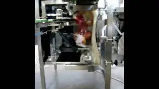 NEWTEC PEB40CAE "Soft Fill" Apple Bag Filling and Closing system