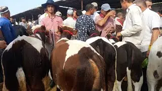 Молбозори хучанд худжанд 