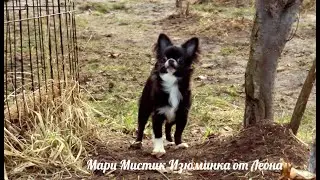 #ЦЕНЫ
