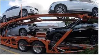 Exclusivo: Cegonheiro Mostra Como carregar a Cegonha - Passo a Passo - Ep47/18