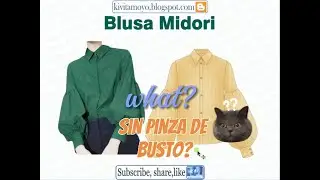 BLUSA MIDORI - Que??? Pinza de busto nula?