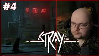[#4] Финал - Stray (Нарезка стрима zhenya_dota2)