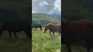 Поход на Петрос 09.08.2023