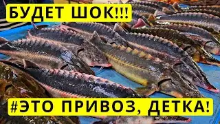 🛑Узнай цены первым!⚓Одесса Привоз🐟Рыбный день!🎬18.01.2024💥