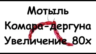 Мотыль комара-дергуна | Macro | Увеличение 80х
