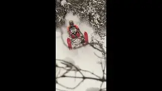 Colton thrashing with the Lynx Brutal