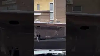 Когда в автосалоне купил «небитую, некрашеную» машину, но что-то здесь не так #автосалон #жесть