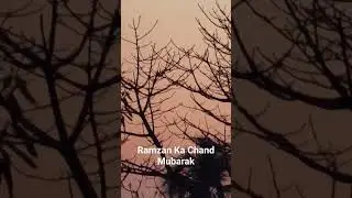 Ramzan ka Chand Mubarak 2024 | #youtubeshorts #ramzan2024