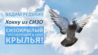 Сизокрылый – это обретший в СИЗО крылья | Хокку из СИЗО