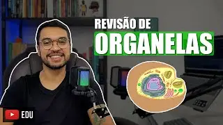 CÉLULAS - Estrutura e função [BioCel 07]