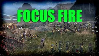 Why You Should Be Focus Firing