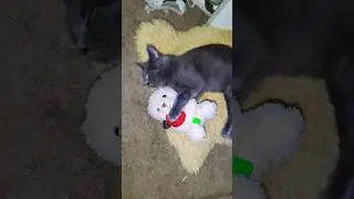 se enamoro