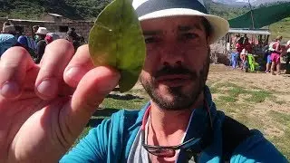 🌱MÂCHER DE LA FEUILLE DE COCA, BONNE IDÉE ? COLCA CANYON Ep 1