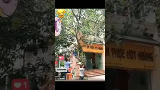 Must Watch New Comedy Video 2021 Amazing Funny Video 2021 / Viral Hits 