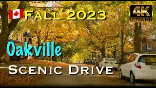 🍁 Oakville Scenic Drive  🇨🇦  Ontario, Canada 🍂 Oct 28th ✨ 4K HDR DOLBY VISION