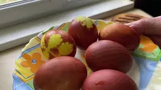 Красим яйца на Пасху
