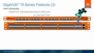 What are the additional features supported by the GigaVUE TA Series