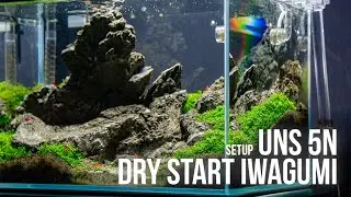 UNS 5N Iwagumi Nano Tank Aquascape Tutorial - Dry Start Method Aquarium Setup