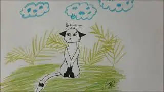 Мои рисунки Котов-Воителей.