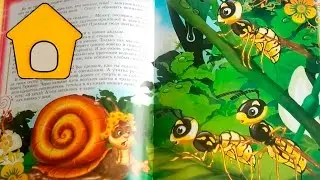 Сказка. Волк грубиян и мудрая улитка. 24.