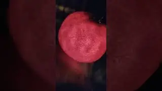 Мандарин и бенгальский огонь.