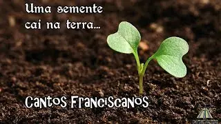 Uma semente cai na terra