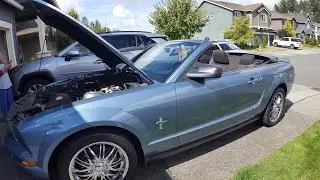 🔴PDR on a Ford Mustang🐎 Fender dent ⚠