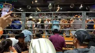 Indomables en escapade jaripeo