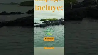 ¿Por qué visitar las Islas Galápagos en Ecuador?  Parte IV     #senderismo #viajesenfamilia #ecuador