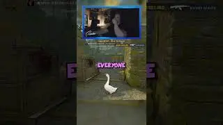 Trolling Female Counter-Strike 1vs1 situation 🧐
