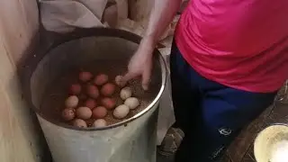 ПТИЦЕВОДСТВО/ДЕРЕВЕНСКИЕ БУДНИ