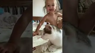 #нашкотик #врекомендации #снежок #эмилия