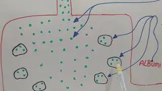 farmacocinética y farmacodinamia de los AINES por vía oral