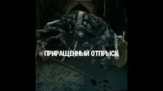 ELDEN RING. Как убить Приращенного отпрыска.