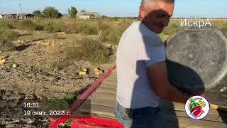11-20 сент. Восстановление кровли после урагана. Рассада клубники. Новопавловск.