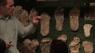 The Bigfoot Diaries: Thom Powell's Paranormal or Normal?