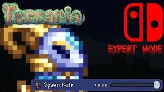 Nintendo Switch | Max Spawn Rate in Terraria still makes me suffer.