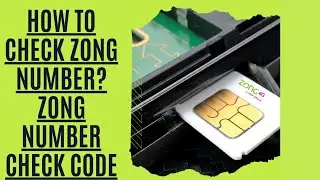How to Check Zong Number without Balance