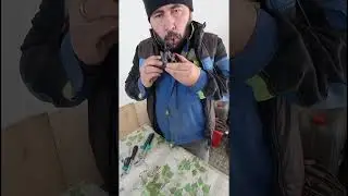 Самый эффективный ремонт автономки ПЛАНАР