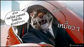 Animal CGI (Tiger)