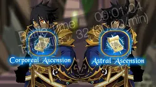 [AQW] ArchMage Build