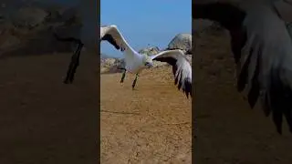 Cleared for takeoff