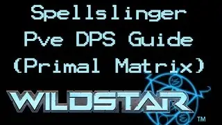 Spellslinger PvE DPS Guide (Primal Matrix)