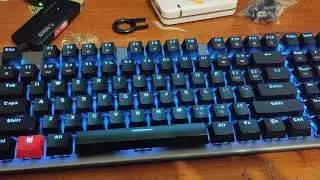 Weird Noise Tecware Phantom 96 Mechanical Keyboard Problem