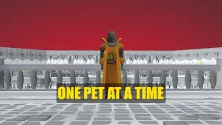 Xtreme One Pet At A Time - #2