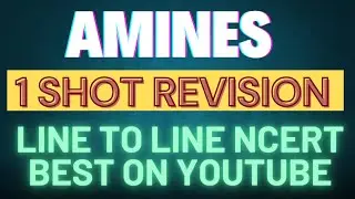amines in one shot || amines in one hour || amines revision || jee 2025 chemistry || jee mains 2025
