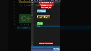 Comments in 5 Programming Languages. 