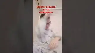 я ждал это го долго