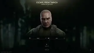 The Tarkov PvE experience...